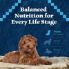 imageBlue Buffalo Wilderness HighProtein Natural Dry Food for Puppies Chicken Recipe 45lb Bag