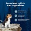 imageBlue Buffalo Wilderness HighProtein Rocky Mountain Recipe Dry Food for Puppies Red Meat ampamp Grains 45lb BagChicken plus Wholesome Grains