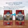 imageBlue Buffalo Wilderness HighProtein Rocky Mountain Recipe Dry Food for Puppies Red Meat ampamp Grains 45lb BagRed Meat  ChickenFree