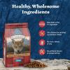 imageBlue Buffalo Wilderness HighProtein Rocky Mountain Recipe Dry Food for Puppies Red Meat ampamp Grains 45lb BagRed Meat with Grain