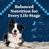 imageBlue Buffalo Wilderness HighProtein Rocky Mountain Recipe Dry Food for Puppies Red Meat ampamp Grains 45lb BagRed Meat with Grain