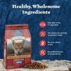 imageBlue Buffalo Wilderness HighProtein Rocky Mountain Recipe Dry Food for Puppies Red Meat ampamp Grains 45lb BagRed Meat with Grain