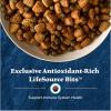 imageBlue Buffalo Wilderness HighProtein Rocky Mountain Recipe Dry Food for Puppies Red Meat ampamp Grains 45lb BagRed Meat with Grain