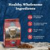imageBlue Buffalo Wilderness HighProtein Rocky Mountain Recipe Dry Food for Puppies Red Meat ampamp Grains 45lb BagRed Meat with Grain