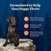 imageBlue Buffalo Wilderness Natural HighProtein Dry Food for Large Breed Puppies with Wholesome Grains Chicken 28lb bag24 Pound Pack of 1