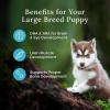 imageBlue Buffalo Wilderness Natural HighProtein Dry Food for Large Breed Puppies with Wholesome Grains Chicken 28lb bag28 Pound Pack of 1