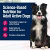 imageBlue Buffalo True Solutions Active Dog Wet Dog Food for Active Adult Dogs Made with Natural Ingredients Chicken 125oz Cans 12 CountChicken