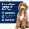 imageBlue Buffalo True Solutions Total Support Wet Dog Food for Adult Dogs Made with Natural Ingredients Chicken 125oz Cans 12 Count