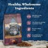 imageBlue Buffalo Wilderness Natural HighProtein Dry Food for Adult Dogs with Wholesome Grains Salmon 28lb bagBison with Grain