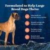 imageBlue Buffalo Wilderness Natural HighProtein Dry Food for Adult Dogs with Wholesome Grains Salmon 28lb bagChicken plus Wholesome Grains