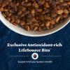 imageBlue Buffalo Wilderness Natural HighProtein Dry Food for Adult Dogs with Wholesome Grains Salmon 28lb bagSalmon plus Wholesome Grains