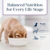 imageBlue Buffalo Basics Dry Dog Food for Puppies Skin ampamp Stomach Care Limited Ingredient Diet for Dogs Turkey Recipe 11lb BagTurkey  Potato