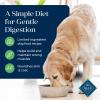 imageBlue Buffalo Basics GrainFree Adult Dry Dog Food Skin ampamp Stomach Care Limited Ingredient Diet for Dogs Turkey Recipe 4lb BagLamb  Potato