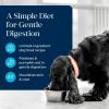 imageBlue Buffalo Basics GrainFree Adult Wet Dog Food Skin ampamp Stomach Care Limited Ingredient Diet Turkey Recipe 125oz Can 12 CountWhitefish