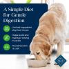 imageBlue Buffalo Basics GrainFree Dry Dog Food for Adult Dogs Limited Ingredient Diet Salmon Recipe 22lb BagLamb  Potato