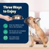 imageBlue Buffalo Freedom GrainFree Wet Dog Food Free of Glutens ampamp Artificial Preservatives Made with Natural Ingredients Chicken Recipe 125oz Cans 12 CountLamb