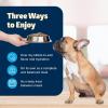 imageBlue Buffalo Freedom GrainFree Wet Dog Food Free of Glutens ampamp Artificial Preservatives Made with Natural Ingredients Chicken Recipe 125oz Cans 12 CountChicken