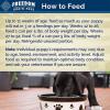 imageBlue Buffalo Freedom Grain Free Natural Puppy Wet Dog Food Chicken 125oz cans Pack of 12Chicken