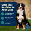 imageBlue Buffalo Freedom GrainFree Dry Dog Food Complete ampamp Balanced Nutrition for Adult Dogs Made in the USA With Natural Ingredients Lamb ampamp Potatoes 24lb BagLamb
