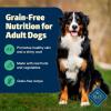 imageBlue Buffalo Freedom GrainFree Dry Dog Food Complete ampamp Balanced Nutrition for Adult Dogs Made in the USA With Natural Ingredients Lamb ampamp Potatoes 24lb BagLamb