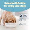 imageBlue Buffalo Freedom GrainFree Puppy Dry Dog Food with DHA Complete ampamp Balanced Nutrition for Puppies Made in the USA Chicken ampamp Potatoes 11lb BagChicken