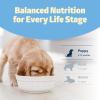 imageBlue Buffalo Freedom GrainFree Puppy Dry Dog Food with DHA Complete ampamp Balanced Nutrition for Puppies Made in the USA Chicken ampamp Potatoes 11lb BagChicken