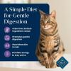 imageBlue Buffalo Basics GrainFree Dry Cat Food Skin ampamp Stomach Care Limited Ingredient Diet for Mature Indoor Cats Turkey ampamp Potato Recipe 5lb BagTurkey  Potato