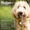 imageBlue Buffalo Nudges Jerky Cuts Dog Treats Made in the USA with Natural Ingredients Chicken ampamp Duck 16oz BagChicken