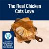 imageBlue Buffalo True Solutions Digestive Care Wet Cat Food for Adult Cats Made with Natural Ingredients Chicken 3oz Cans 24 Count