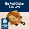 imageBlue Buffalo True Solutions Hairball Control Natural Dry Cat Food for Adult Cats Chicken 11lb BagChicken