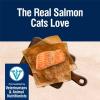 imageBlue Buffalo True Solutions Skin ampamp Coat Care Natural Dry Cat Food for Adult Cats Salmon 11lb BagSalmon
