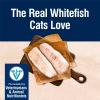 imageBlue Buffalo True Solutions Skin ampamp Coat Care Wet Cat Food for Adult Cats Made with Natural Ingredients Whitefish 3oz Cans 24 Count