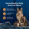 imageBlue Buffalo Wilderness Wild Delights Minced Natural Wet Cat Food Chicken ampamp Turkey in Tasty Gravy 55oz Cans 24PackChicken  Turkey
