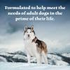 imageBlue Buffalo Wilderness Wolf Creek Stew Wet Dog Food HighProtein ampamp GrainFree Made with Natural Ingredients Hearty Beef in Gravy 125oz Cans 12 CountChicken Stew