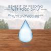 imageBlue Buffalo Wilderness Wolf Creek Stew Wet Dog Food HighProtein ampamp GrainFree Made with Natural Ingredients Hearty Beef in Gravy 125oz Cans 12 CountBeef Stew