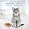 imageBlue Buffalo Tastefuls Natural Tender Morsels Wet Cat Food Bundle Chicken and Tuna 3oz cans 48 Count 24 of Each FlavorBUNDLE Chicken  Tuna