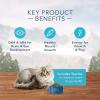 imageBlue Buffalo Wilderness High Protein Natural Grain Free Kitten Food Bundle  Chicken 5lb Dry Food  3oz cans 24ctChicken