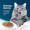 imageBlue Buffalo Tastefuls Savory Singles Natural Wet Cat Food in Gravy 26oz TwinPack Tray Salmon Entre 24 CountFish