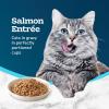 imageBlue Buffalo Tastefuls Savory Singles Natural Wet Cat Food in Gravy 26oz TwinPack Tray Salmon Entre 24 CountSalmon