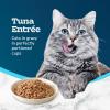 imageBlue Buffalo Tastefuls Savory Singles Natural Wet Cat Food in Gravy 26oz TwinPack Tray Salmon Entre 24 CountTuna