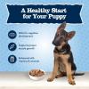 imageBlue Buffalo Baby BLUE Natural Puppy Wet Dog Food Healthy Growth Formula with DHA Chicken and Vegetable Recipe 125oz Cans 12 CountChicken  Vegetable
