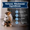 imageBlue Buffalo Baby BLUE Natural Puppy Wet Dog Food Healthy Growth Formula with DHA Chicken and Vegetable Recipe 125oz Cans 12 CountChicken  Vegetable