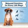 imageBlue Buffalo Baby BLUE Natural Puppy Wet Dog Food Healthy Growth Formula with DHA Chicken and Vegetable Recipe 125oz Cans 12 CountTurkey  Potato  Grain Free