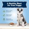 imageBlue Buffalo Baby BLUE Natural Puppy Wet Dog Food Healthy Growth Formula with DHA Chicken and Vegetable Recipe 125oz Cans 12 CountTurkey  Potato  Grain Free