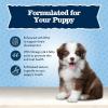 imageBlue Buffalo Baby BLUE Soft Biscuits with DHA Natural Dog Treats for Puppies Great for Training with Chicken ampamp Carrots 8oz Bag8 Ounce Pack of 1