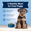 imageBlue Buffalo Baby Blue Natural Dry Food for Puppies Healthy Growth Formula with DHA HighProtein Savory Chicken Recipe 4lb BagChicken  Brown Rice