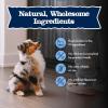 imageBlue Buffalo Baby Blue Natural Dry Food for Puppies Healthy Growth Formula with DHA HighProtein Savory Chicken Recipe 4lb BagChicken  Brown Rice