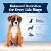 imageBlue Buffalo Baby Blue Natural Dry Food for Puppies Healthy Growth Formula with DHA HighProtein Savory Chicken Recipe 4lb BagChicken