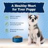 imageBlue Buffalo Baby Blue Natural Dry Food for Puppies Healthy Growth Formula with DHA HighProtein Savory Chicken Recipe 4lb BagChicken