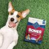 imageBlue Buffalo Bones Natural Crunchy Dog Treats Large Dog Biscuits Beef 16oz Bag 4 CountLarge Biscuits For Dogs 50 lbs Beef